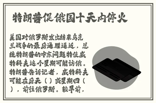 91精品国产**在线